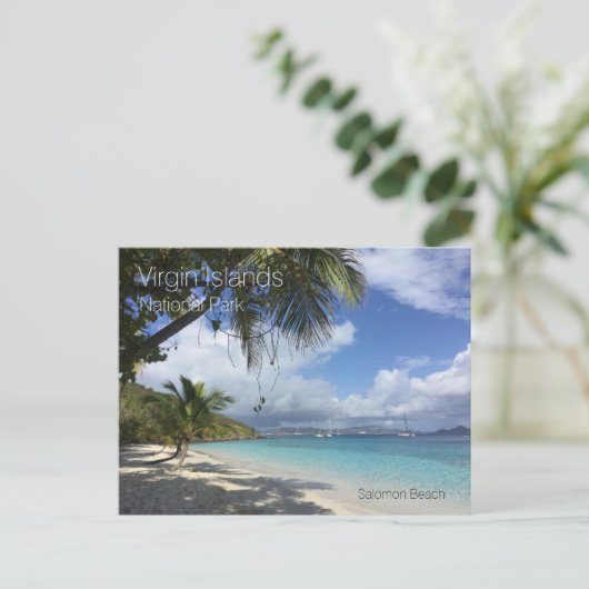 Salmon Beach, Palms, Maagdeneilanden Nationaal Par Briefkaart (Staand voorkant)