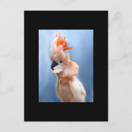 Salmon Crested Cockatau ACEO Art Trading Card Briefkaart