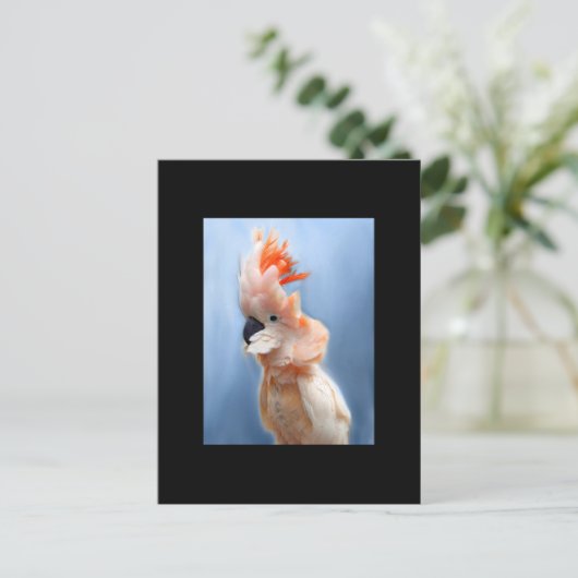 Salmon Crested Cockatau ACEO Art Trading Card Briefkaart (Staand voorkant)