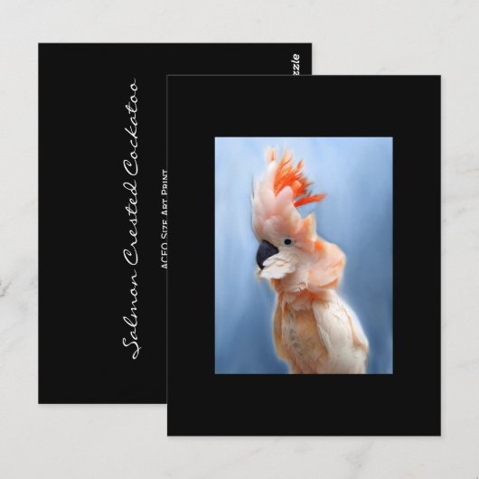 Salmon Crested Cockatau ACEO Art Trading Card Briefkaart (Voorkant / Achterkant)