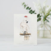 Salmon-crested Cockatoo Briefkaart (Staand voorkant)