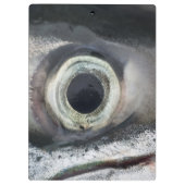 Salmon Eye Klembord (Achterkant)