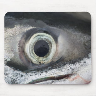 Salmon Eye Muismat