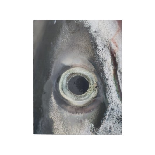 Salmon Eye Notitieblok (Linkerzijde)