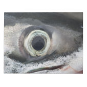 Salmon Eye Notitieblok (Voorkant)