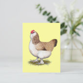 Salmon Faverolle Hen Briefkaart (Staand voorkant)