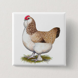 Salmon Faverolle Hen Vierkante Button 5,1 Cm