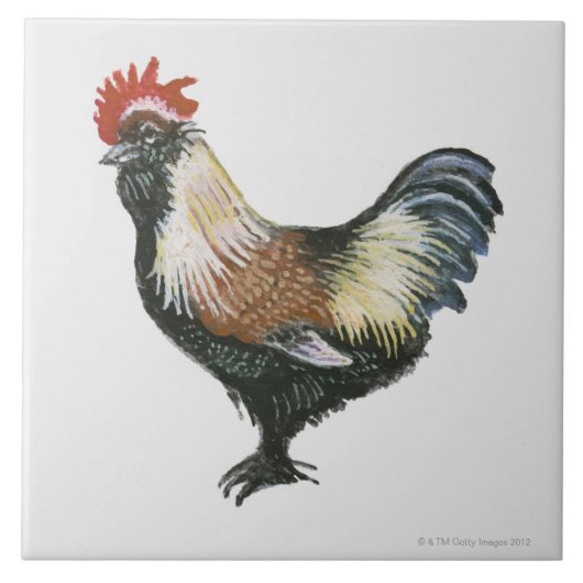 Salmon Faverolles Chicken Tegeltje (Voorkant)