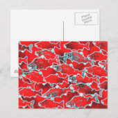 SALMON FISH REDS BRIEFKAART (Voorkant / Achterkant)