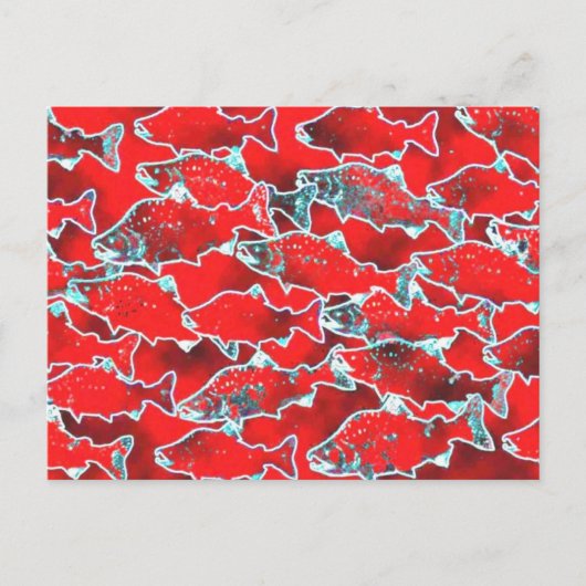 SALMON FISH REDS BRIEFKAART (Voorkant)