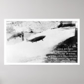 Salmon Jumping Alaska 1907 Poster (Voorkant)