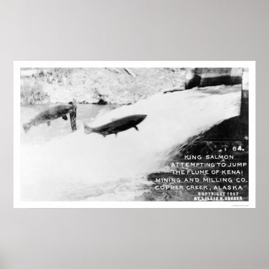 Salmon Jumping Alaska 1907 Poster (Voorkant)