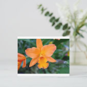 Salmon Orchid Briefkaart (Staand voorkant)