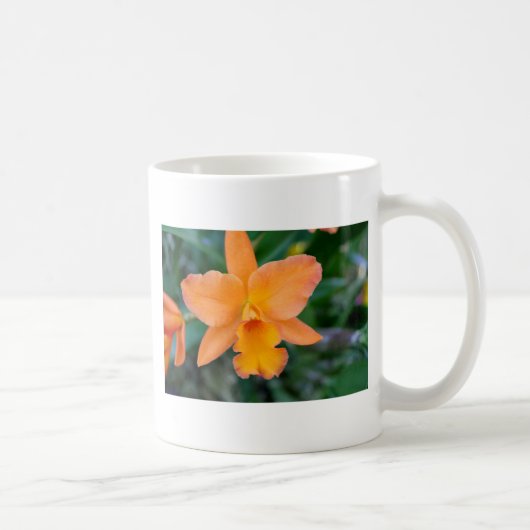 Salmon Orchid Koffiemok (Rechts)