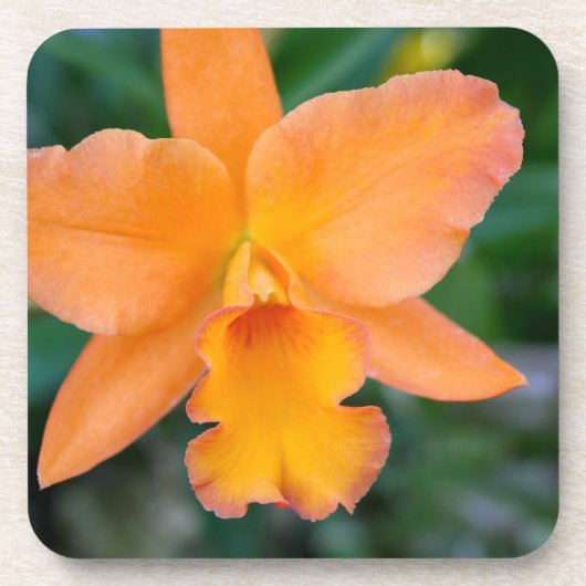 Salmon Orchid Onderzetter (Voorkant)