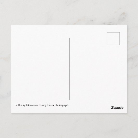 Salmon River Idaho Briefkaart (Achterkant)