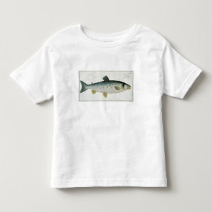 Salmon (Salmo Salar) bord XX uit Ichthyologie, Kinder Shirts