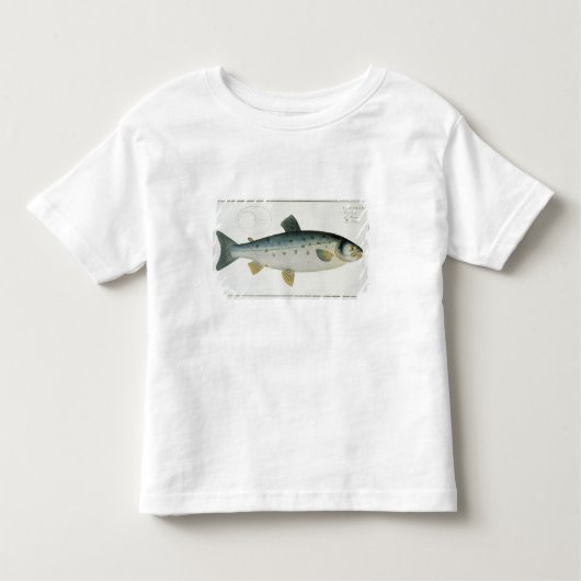 Salmon (Salmo Salar) bord XX uit Ichthyologie, Kinder Shirts (Voorkant)