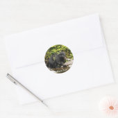 "Salmon Spotting" Zwart Beer Wildlife Stickers (Envelop)