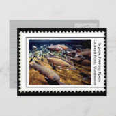 Salmon Washington Briefkaart (Voorkant / Achterkant)