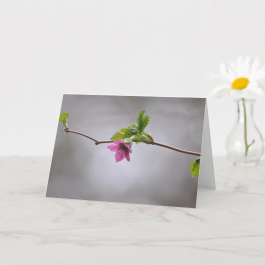 Salmonberry Blossom Frameable Art Kaart (Kleine Plant)