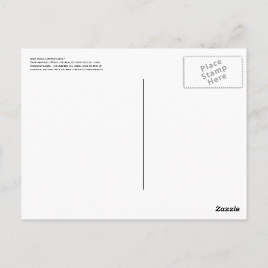 Salmonbes, eiland Unalaska Briefkaart (Achterkant)