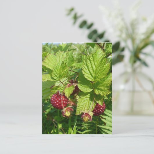 Salmonbes op het eiland Unalaska Briefkaart (Staand voorkant)