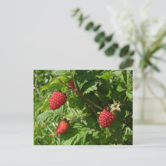 Salmonbessen op het eiland Unalaska Briefkaart (Staand voorkant)