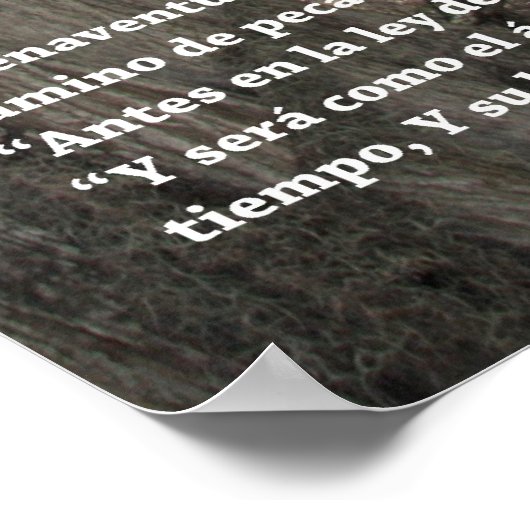 Salmos 1:1-3 (kartel con Rio y Arbol) Poster (Hoek)