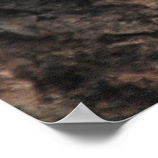 Salmos 27-5 con Ardilla Poster (Hoek)