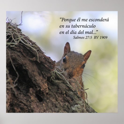 Salmos 27-5 con Ardilla Poster (Voorkant)