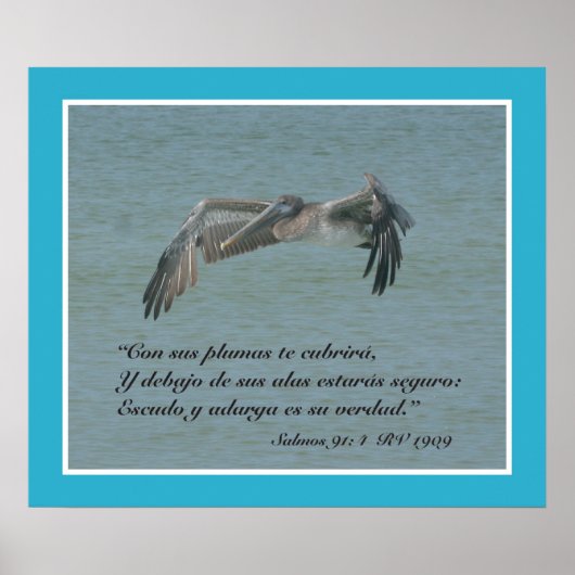 Salmos 91:4 con Pelicano Volando (kartel) Poster (Voorkant)