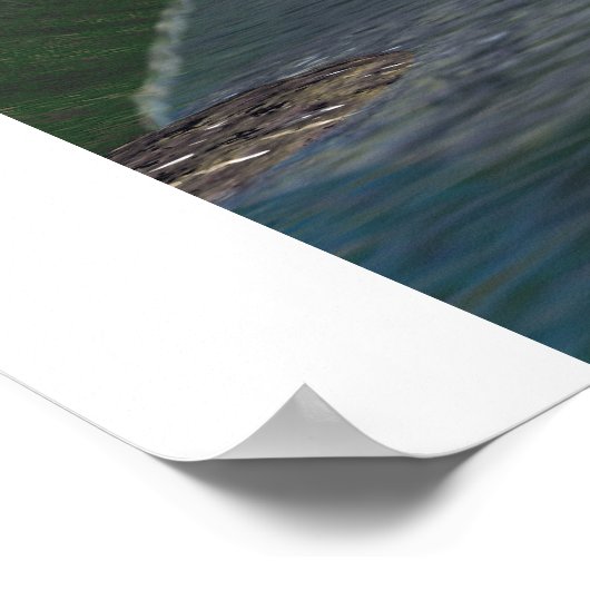 Salohcin Tropical Moon Poster (Hoek)