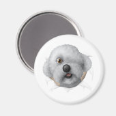 Salomon Chestburster Magneet (Voorkant / Achterkant)