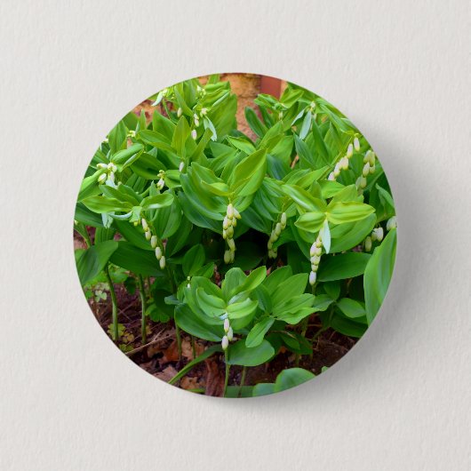 Salomons Seal Badge Ronde Button 5,7 Cm (Voorkant)