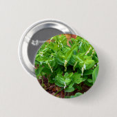 Salomons Seal Badge Ronde Button 5,7 Cm (Voorkant /achterkant)