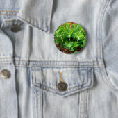 Salomons Seal Badge Ronde Button 5,7 Cm (In situ)