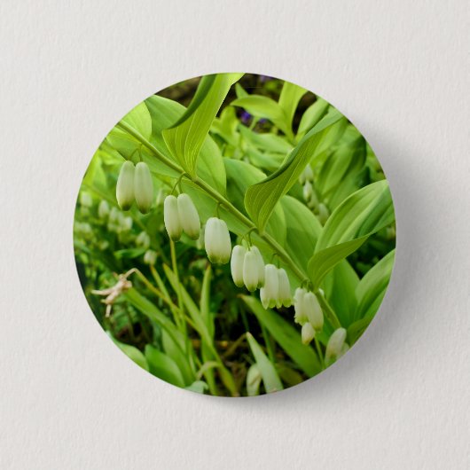 Salomons Seal Badge Ronde Button 5,7 Cm (Voorkant)