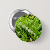 Salomons Seal Badge Ronde Button 5,7 Cm (Voorkant /achterkant)