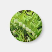 Salomons Seal Magnet (Voorkant)