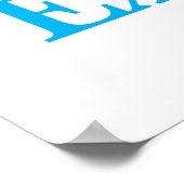 Salon Barbershop Posters Got Hair Extensions? (Hoek)