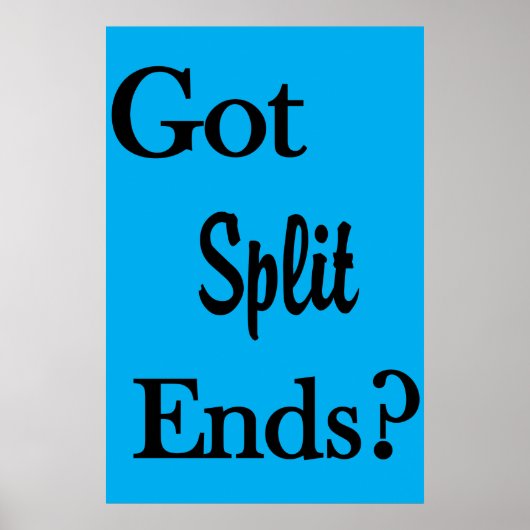 Salon Barbershop Posters Got Split Ends? (Voorkant)