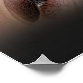 Salon Spa Brows Lips Kom in Relax Verjongen Poster (Hoek)