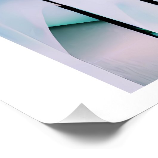 salontruc perfect poster (Hoek)