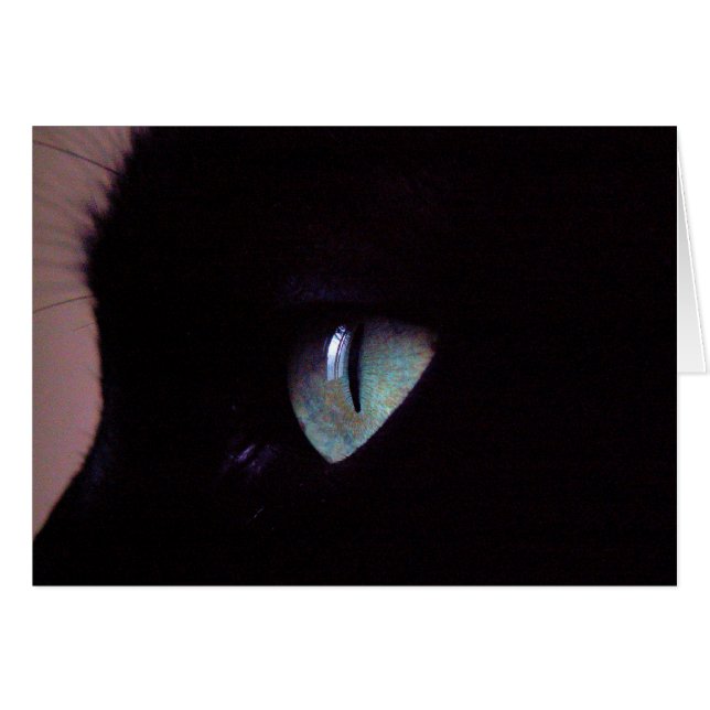 Salsa Super Zen (Voorkant Horizontaal)