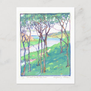 Salt Creek op Cape Cod Print Briefkaart