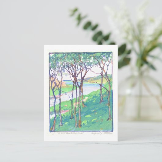 Salt Creek op Cape Cod Print Briefkaart (Staand voorkant)