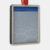 SALT-FLATS METALEN ORNAMENT (Rechts)
