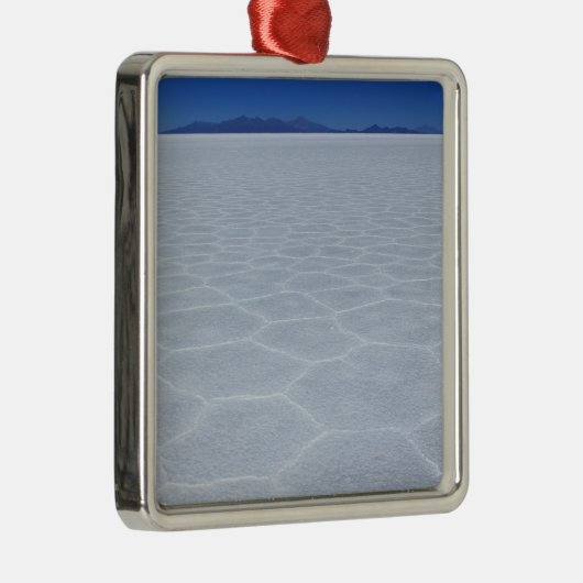 SALT-FLATS METALEN ORNAMENT (Rechts)