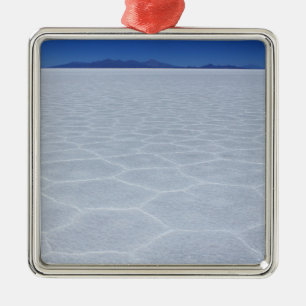 SALT-FLATS METALEN ORNAMENT